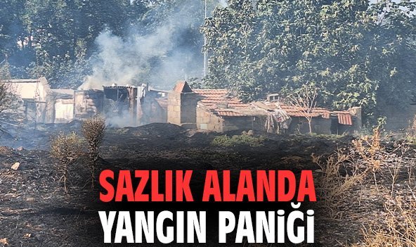 Sazlık alanda yangın paniği