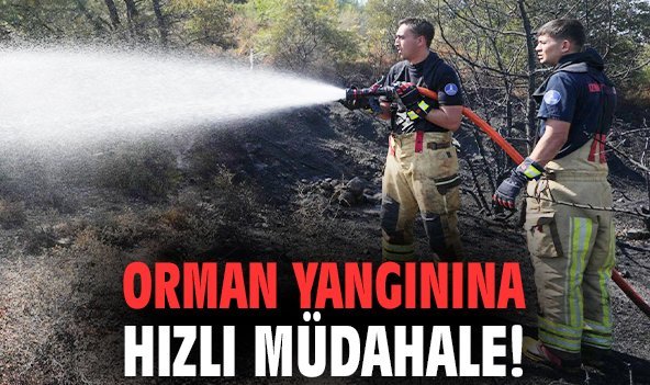 Orman yangınına hızlı müdahale!