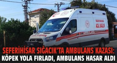 Seferihisar Sığacık’ta Ambulans Kazası: Köpek Yola Fırladı, Ambulans Hasar Aldı