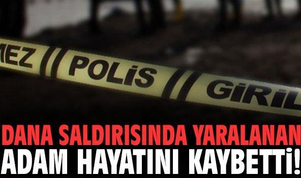 Dana saldırısında yaralanan adam hayatını kaybetti!