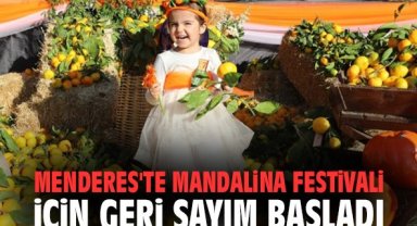 Menderes'te Geleneksel Mandalina Festivali için geri sayım başladı