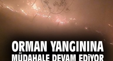 Orman yangınına müdahale devam ediyor