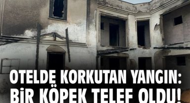 Otelde korkutan yangın: Bir köpek telef oldu!