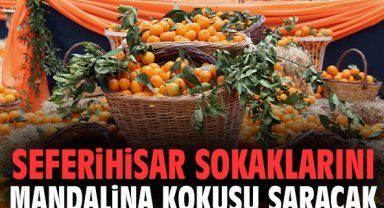 Seferihisar sokaklarını mandalina kokusu saracak