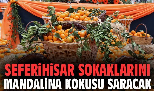 Seferihisar sokaklarını mandalina kokusu saracak