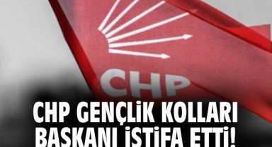 CHP gençlik kolları başkanı istifa etti!