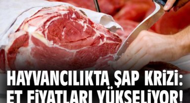 Hayvancılıkta şap krizi: Et fiyatları yükseliyor!