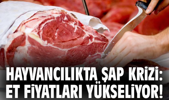 Hayvancılıkta şap krizi: Et fiyatları yükseliyor!