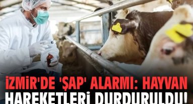 İzmir'de 'şap' alarmı: Hayvan hareketleri durduruldu!