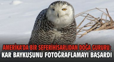 Amerika’da Bir Seferihisarlıdan Doğa Gururu: Kar Baykuşunu Fotoğraflamayı Başardı