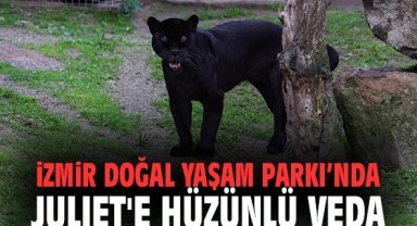 İzmir Doğal Yaşam Parkı’nda Juliet'e Hüzünlü Veda