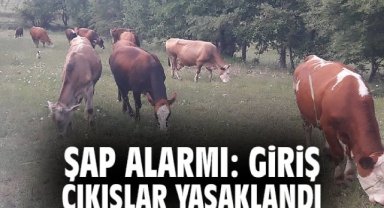 Şap alarmı: Giriş-çıkışlar yasaklandı