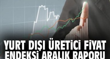 Yurt Dışı Üretici Fiyat Endeksi Aralık Raporu