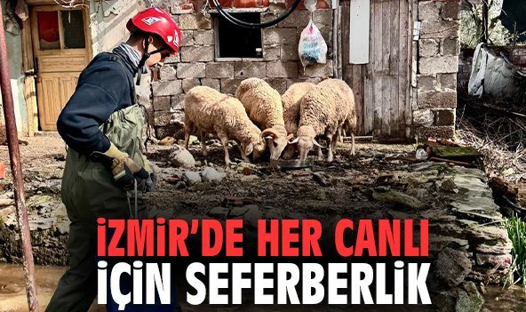 İzmir’de her canlı için seferberlik