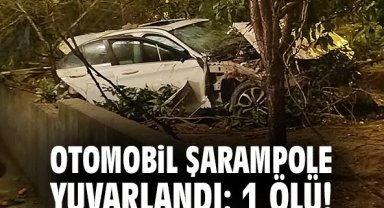 Otomobil şarampole yuvarlandı: 1 ölü!