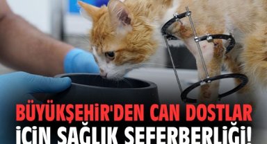 Büyükşehir'den can dostlar için sağlık seferberliği!