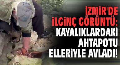 İzmir'de ilginç görüntü: Kayalıklardaki ahtapotu elleriyle avladı!