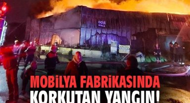 İzmir'de mobilya fabrikasında korkutan yangın!