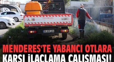 Menderes'te yabancı otlara karşı ilaçlama çalışması!