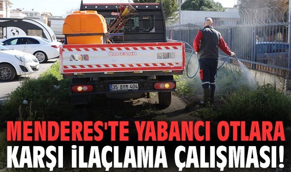 Menderes'te yabancı otlara karşı ilaçlama çalışması!