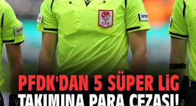 PFDK'dan 5 Süper Lig takımına para cezası!