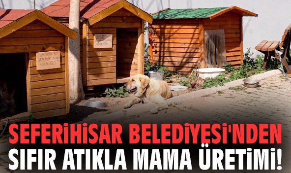 Seferihisar Belediyesi'nden sıfır atıkla mama üretimi!