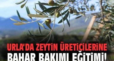 Urla’da Zeytin Üreticilerine Bahar Bakımı Eğitimi