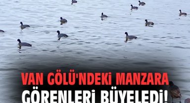 Van Gölü'nde manzara görenleri büyeledi!