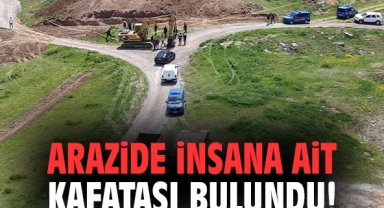 Arazide insana ait kafatası bulundu!
