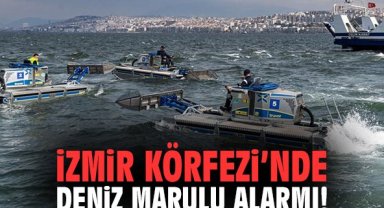 Büyükşehir harekete geçti: İzmir Körfezi’nde Deniz marulu alarmı!