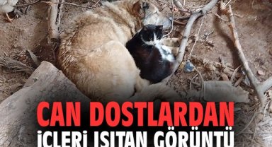 Can dostlardan içleri ısıtan görüntü