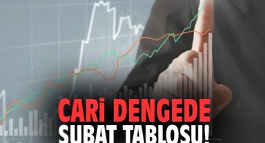Cari dengede Şubat tablosu!