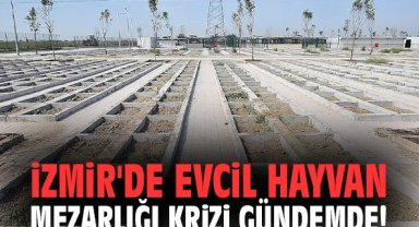 İzmir'de evcil hayvan mezarlığı krizi gündemde!