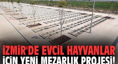 İzmir'de evcil hayvanlar için yeni mezarlık projesi!