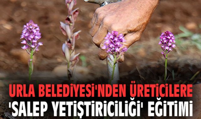 Urla Belediyesi'nden üreticilere 'Salep Yetiştiriciliği' eğitimi