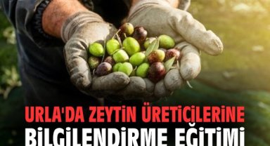 Urla'da zeytin üreticilerine bilgilendirme eğitimi