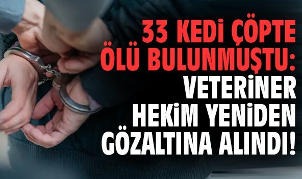 33 kedi çöpte ölü bulunmuştu: veteriner hekim yeniden gözaltına alındı!
