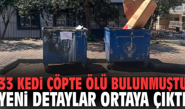33 kedi çöpte ölü bulunmuştu: Yeni detaylar ortaya çıktı!