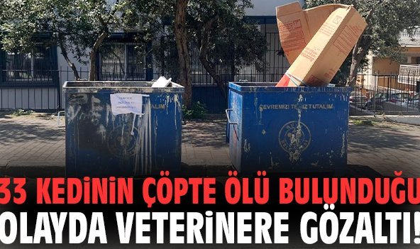 33 kedinin çöpte ölü bulunduğu olayda veterinere gözaltı!
