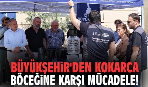 Büyükşehir'den kokarca böceğine karşı mücadele!