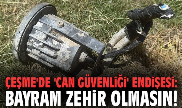 Çeşme'de 'can güvenliği' endişesi: Bayram zehir olmasın!
