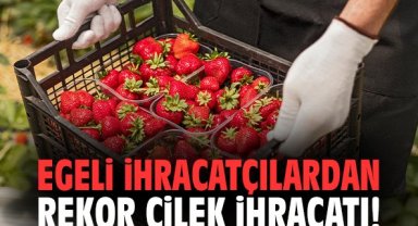 Egeli İhracatçılardan rekor çilek ihracatı!