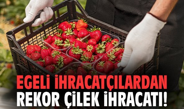Egeli İhracatçılardan rekor çilek ihracatı!
