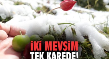 İki mevsim tek karede!
