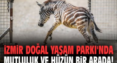 İzmir Doğal Yaşam Parkı'nda mutluluk ve hüzün bir arada!