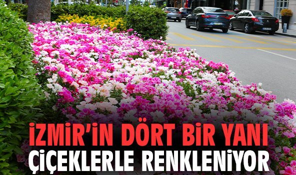 İzmir’in Dört Bir Yanı Çiçeklerle Renkleniyor
