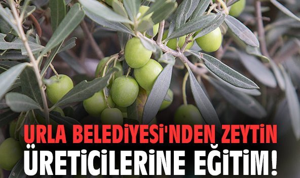 Urla Belediyesi'nden zeytin üreticilerine eğitim!