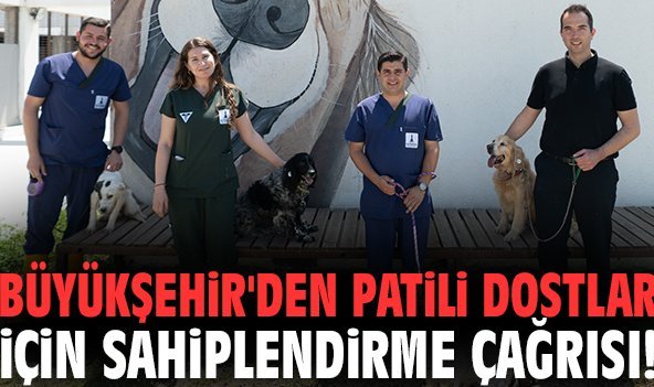 Büyükşehir'den patili dostlar için sahiplendirme çağrısı!