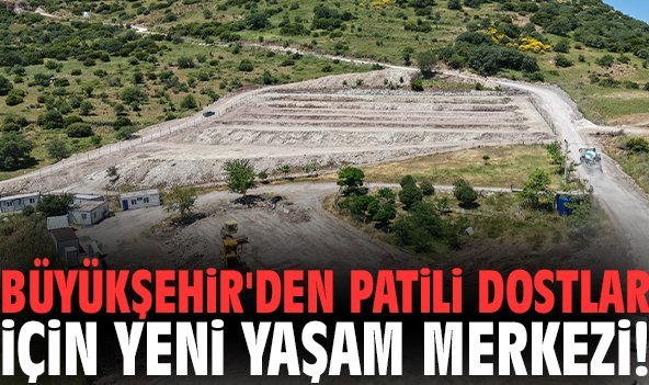 Büyükşehir'den patili dostlar için yeni yaşam merkezi!