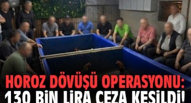 Horoz dövüşü operasyonu: 130 bin lira ceza kesildi!
